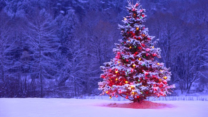 Christmas-Tree-Lights-991