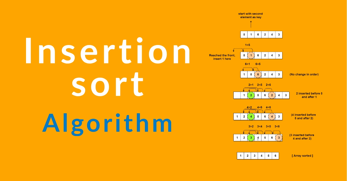 29 Insertion Sort Javascript Example